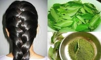Truth about using curry leaves for hair growth 